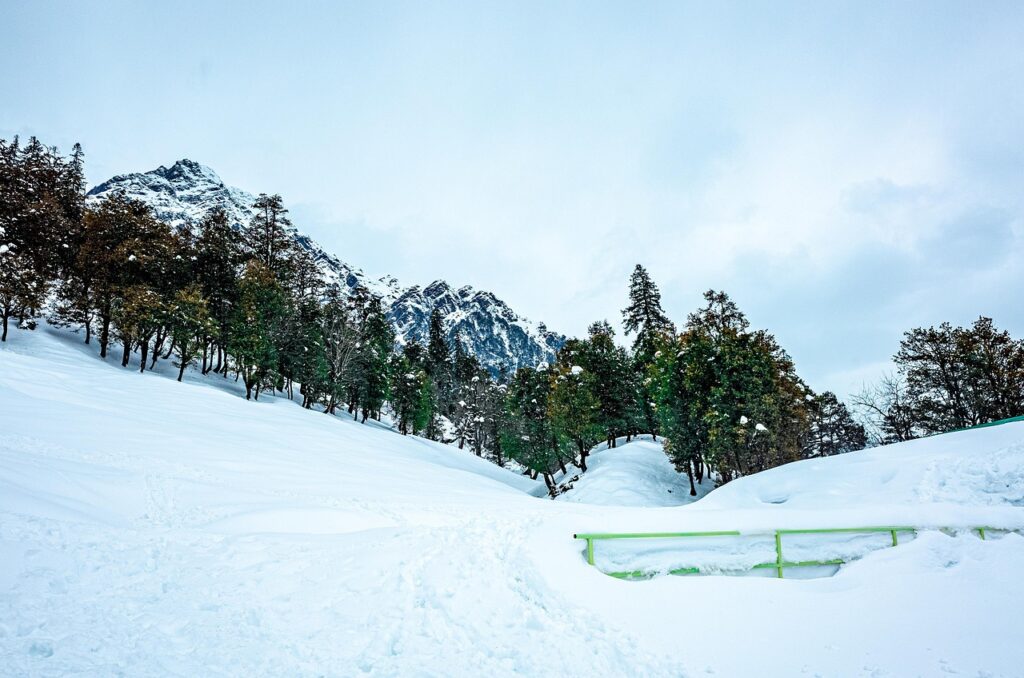 manali, himachal pradesh, himalayas, nature, snow, snowfall, winter, white, solang, fun, india, cold, chill, beautiful