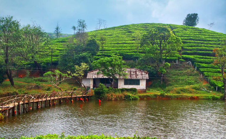 Vagamon