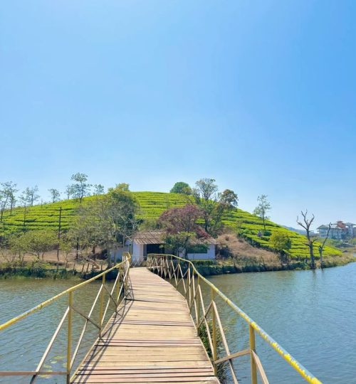 vagamon